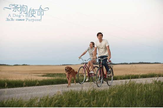 &#20048;&#23478;&#65288;&#20013;&#22269;&#65289;&#26377;&#38480;&#20844;&#21496;&#32;&#124;&#32;&#28020;&#23460;&#32;&#124;&#32;&#20048;&#23478;