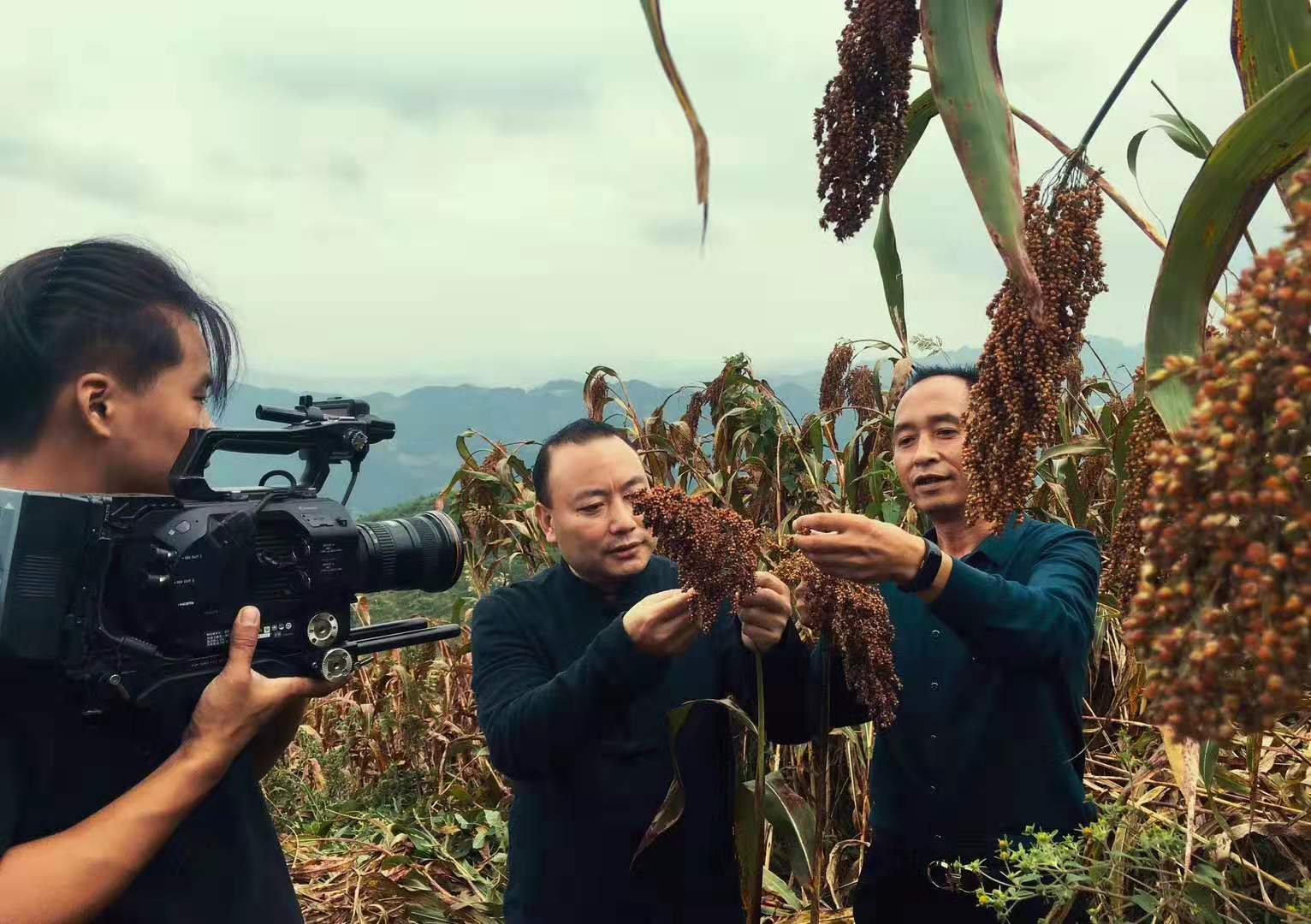 &#20048;&#23478;&#65288;&#20013;&#22269;&#65289;&#26377;&#38480;&#20844;&#21496;&#32;&#124;&#32;&#28020;&#23460;&#32;&#124;&#32;&#20048;&#23478;